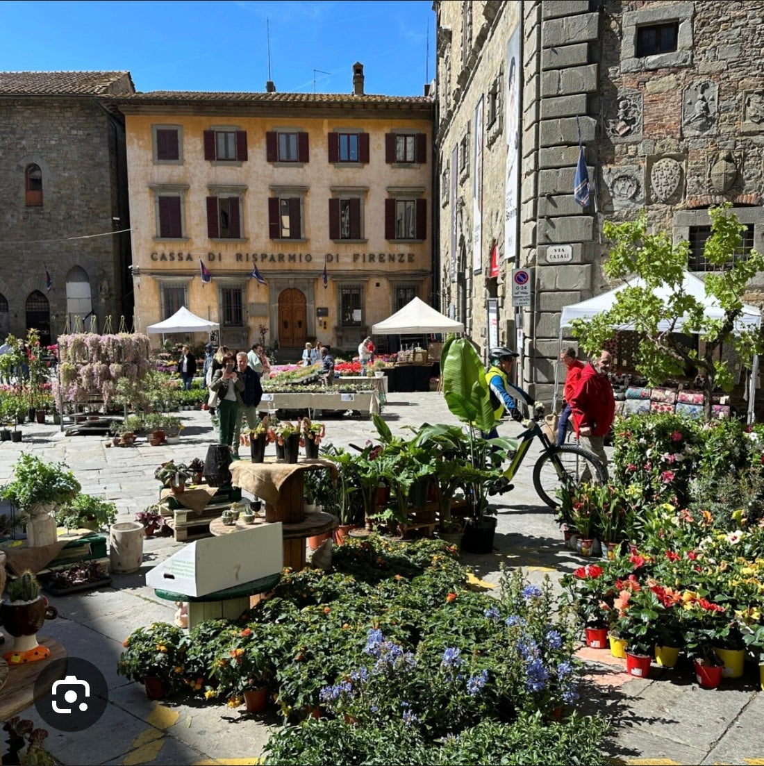 CORTONA I FIORE